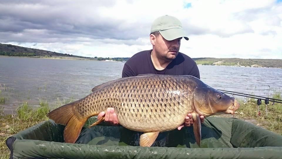 crap salbatic aprilie 2015 - 19075295451374622924408754684689948664000n.jpg